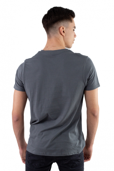 Tricou bumbac gri cu imprimeu San Diego [3]