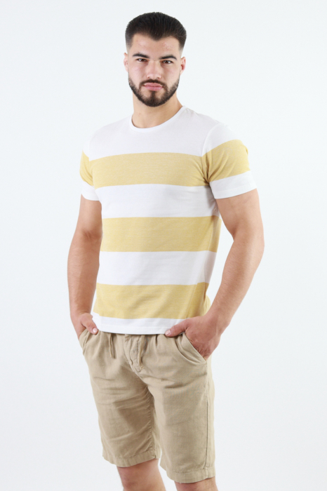 Tricou barbati slim fit cu dungi [2]