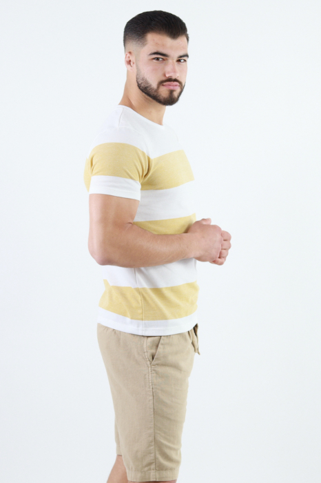Tricou barbati slim fit cu dungi [5]